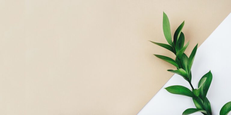 Fresh green branch on a beige background.